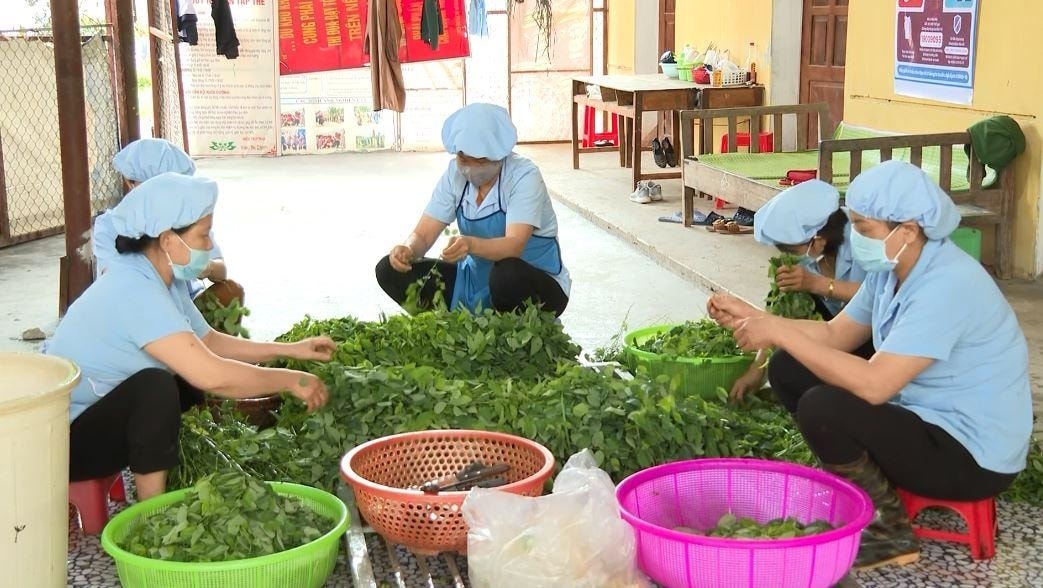 Các nhân viên nhà bếp chuẩn bị bữa ăn cho học sinh Trường PTDTNT THPT tỉnh Các nhân viên nhà bếp chuẩn bị bữa ăn cho học sinh Trường PTDTNT THPT tỉnh