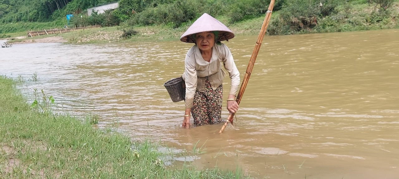 Cá, tôm đã trở lại khe Quẹ
