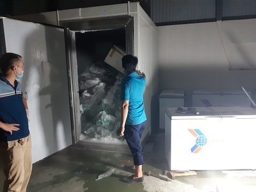Cơ quan Công an kiểm tra kho đông lạnh phát hiện ma túy Cơ quan Công an kiểm tra kho đông lạnh phát hiện ma túy