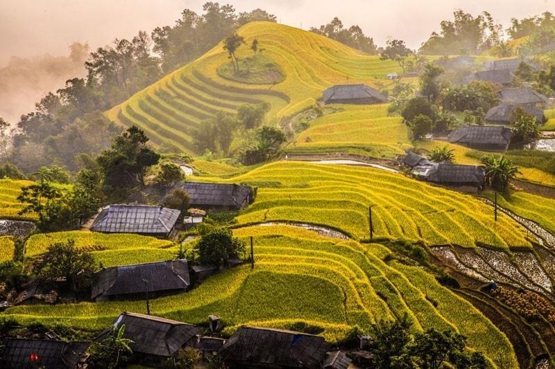 Ruộng bậc thang Hoàng Su Phì được công nhận Di tích quốc gia năm 2012