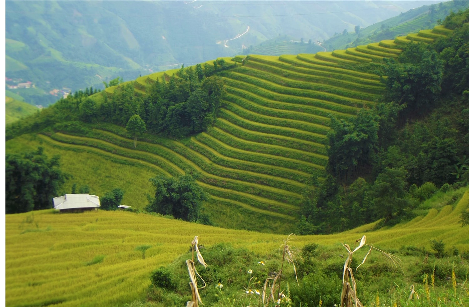 Ruộng bậc thang- kiệt tác từ bàn tay của con người Ruộng bậc thang- kiệt tác từ bàn tay của con người