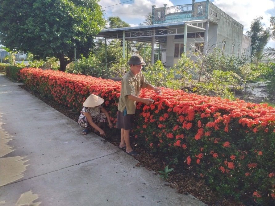 Người dân tích cực hưởng ứng trồng hoa, cây cảnh tạo diện mạo mới cho đường giao thông nông thôn