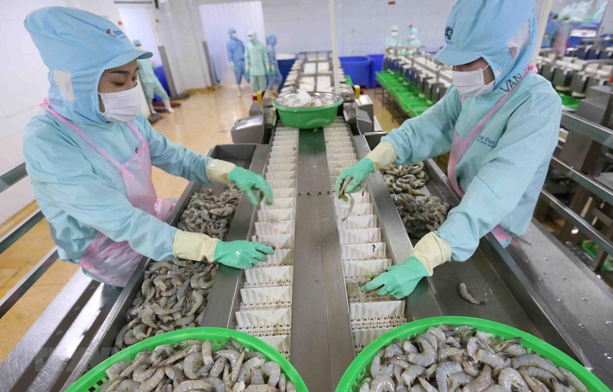 Nhiều mặt hàng thủy sản của Việt Nam bị yêu cầu phải có giấy kiểm dịch thực vật, không nhiễm virus div1, vius hồ cá rô, virus viêm gan tụy hoại tử… Nhiều mặt hàng thủy sản của Việt Nam bị yêu cầu phải có giấy kiểm dịch thực vật, không nhiễm virus div1, vius hồ cá rô, virus viêm gan tụy hoại tử…