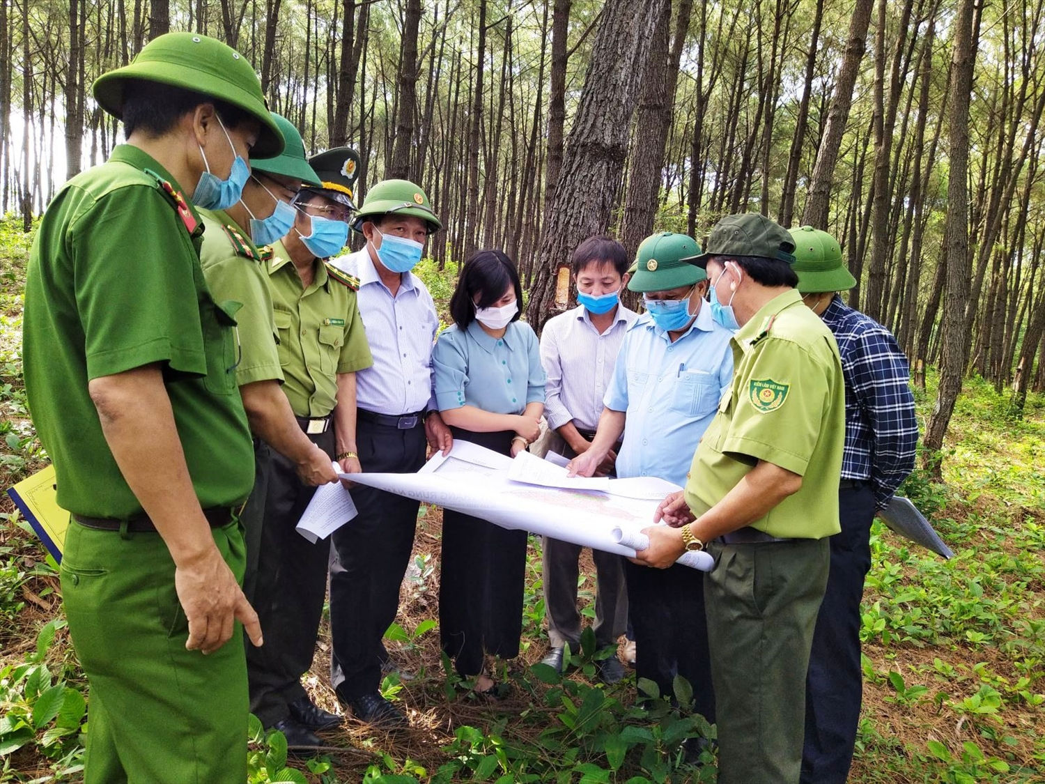 Kiểm tra PCCR ở huyện Triệu Phong, tỉnh Quảng Trị