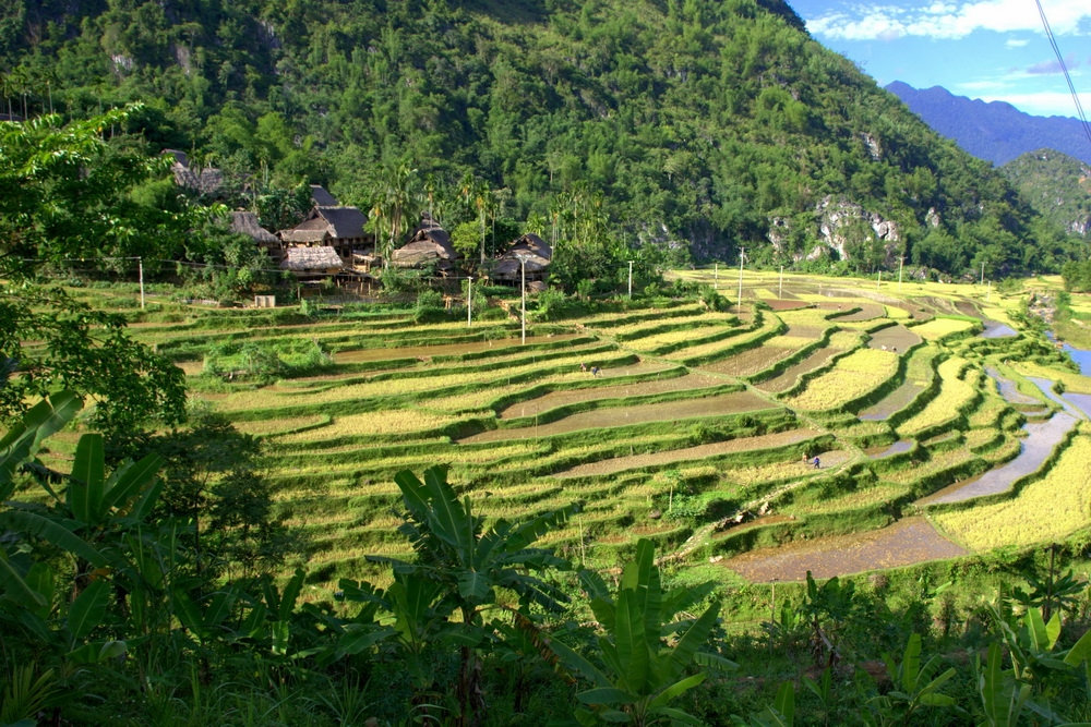 Một góc Pù Luông