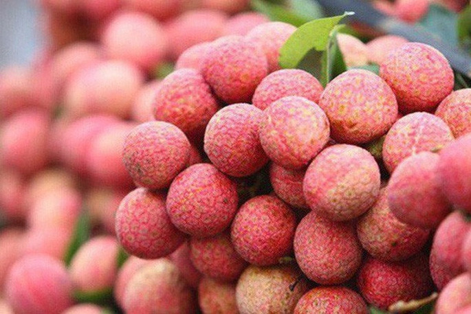 Vải thiều Bắc Giang