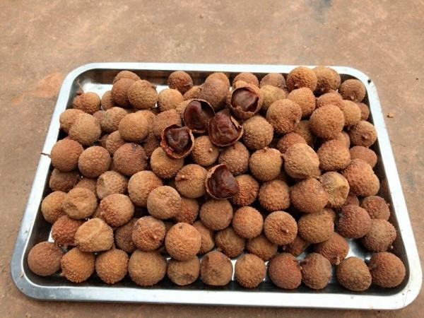Sản phẩm vải thiều sấy khô