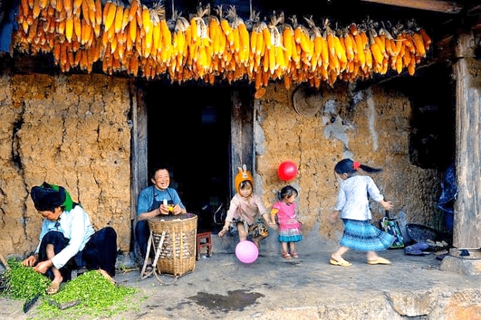 Ngô được phơi khô trước khi đem tách hạt làm mèn mén