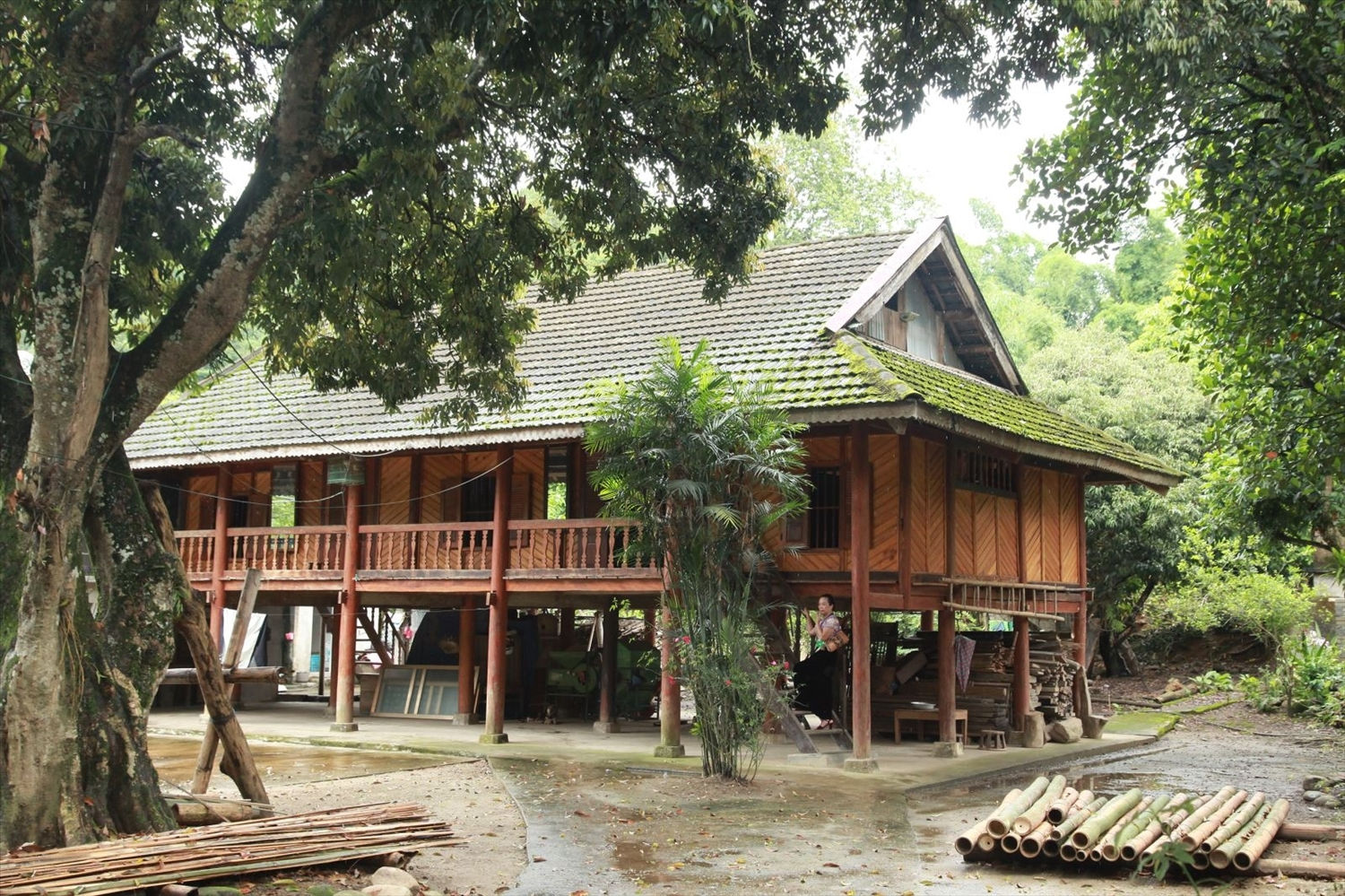 Một nếp nhà sàn ở bản Vàng Pheo