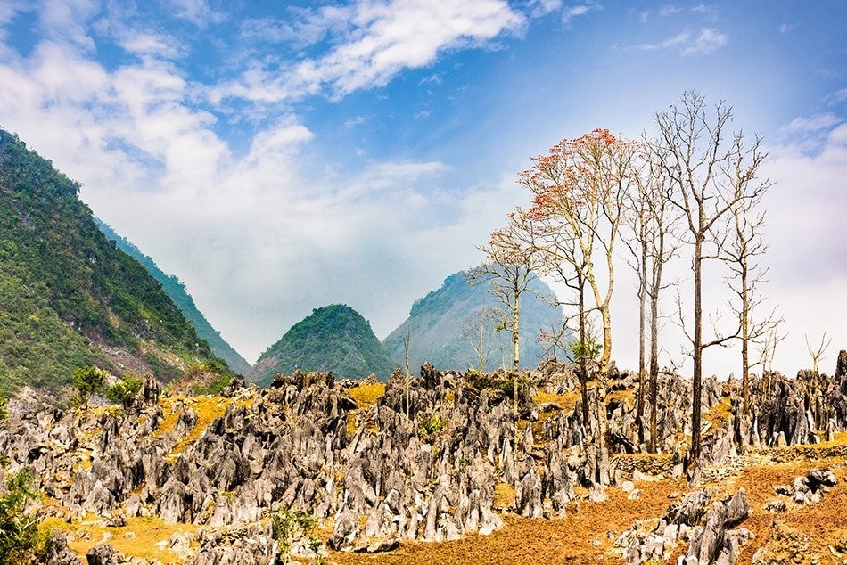 Bãi đá cổ Tả Phìn, Tủa Chùa, Điện Biên. Ảnh: Hải Giang