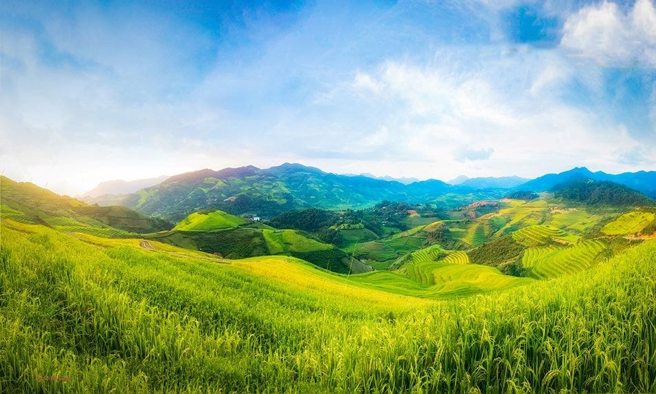 Ruộng bậc thang Đề Dê Hú, Tủa Chùa. Ảnh: Hải Giang