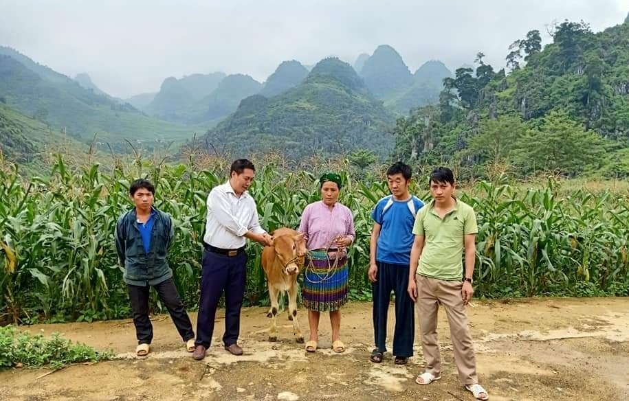 Ông Nguyễn Tiến Thanh (áo trắng), Phó Chủ tịch Ủy ban MTTQ huyện Mèo Vạc chứng kiến gia đình hộ bà Ly Thị Máy luân chuyển bò cho hộ ông Và Mí Pó tại thôn Mèo Vống, xã Lũng Chinh (Mèo Vạc, Hà Giang). Ông Nguyễn Tiến Thanh (áo trắng), Phó Chủ tịch Ủy ban MTTQ huyện Mèo Vạc chứng kiến gia đình hộ bà Ly Thị Máy luân chuyển bò cho hộ ông Và Mí Pó tại thôn Mèo Vống, xã Lũng Chinh (Mèo Vạc, Hà Giang).