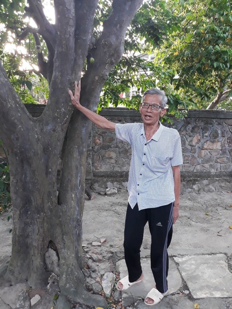 Cụ Võ Đại Hàm kể về năm tháng tuổi thơ của Đại tướng bên cây khế trăm tuổi
