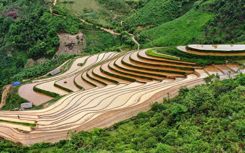 Thêm một quần thể ruộng bậc thang mới tại Yên Bái 1