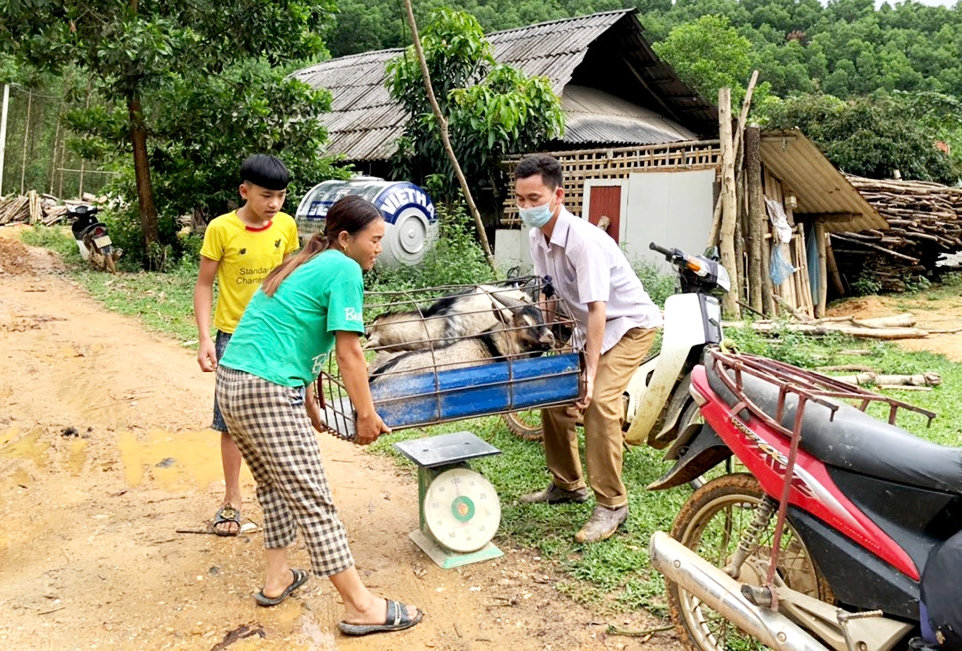 Chị Sinh Thị Ỉn vừa bán được 2 con dê, thu về gần 7 triệu đồng để tăng thêm thu nhập