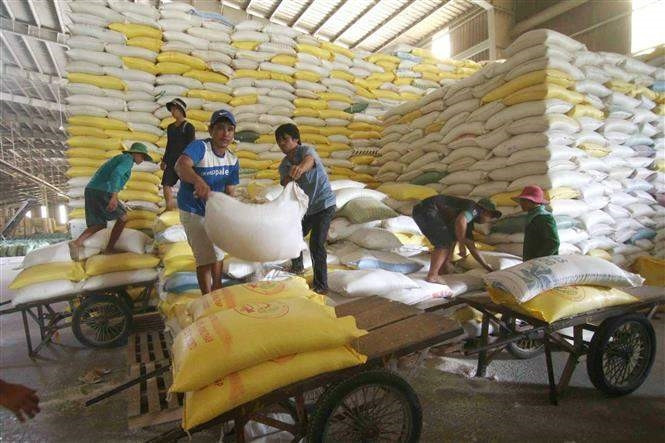 Chuẩn bị nguồn hàng gạo xuất khẩu tại Công ty Lương thực sông Hậu (Tổng công ty Lương thực miền Nam). Ảnh tư liệu: TTXVN Chuẩn bị nguồn hàng gạo xuất khẩu tại Công ty Lương thực sông Hậu (Tổng công ty Lương thực miền Nam). Ảnh tư liệu: TTXVN