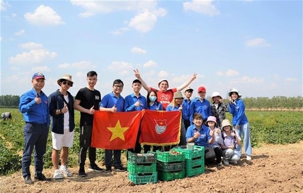 Nhóm sinh viên Việt Nam với thành quả thu hái được tại hoạt động tình nguyện quốc tế. (Nguồn: TTXVN) Nhóm sinh viên Việt Nam với thành quả thu hái được tại hoạt động tình nguyện quốc tế. (Nguồn: TTXVN)