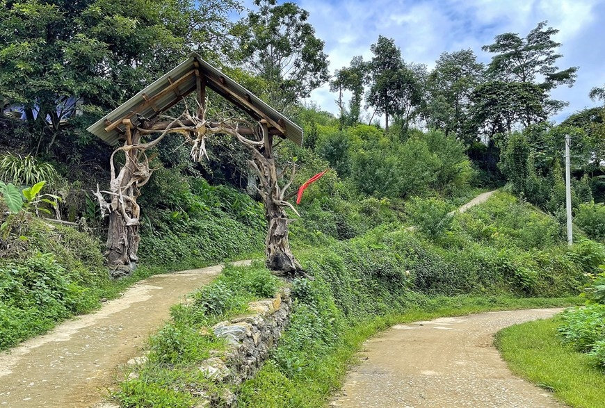Nhờ mở cửa đón du khách và phát triển giống hoa địa lan địa phương, mỗi hộ dân ở đây đều có thu nhập từ 30-50 triệu đồng/năm. (Ảnh: Xuân Mai/Vietnam+)