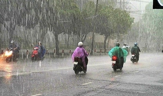 Ảnh minh họa Ảnh minh họa
