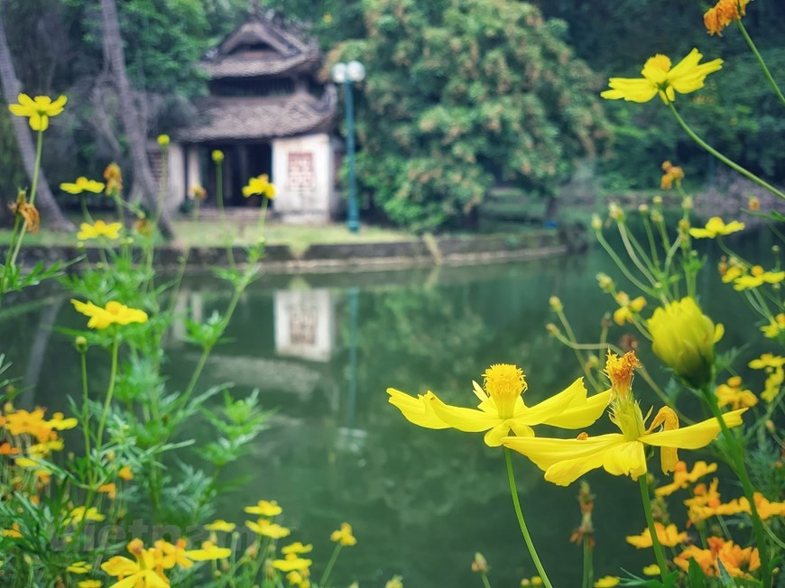 Nhà thủy đình 8 mái là một trong những tinh hoa kiến trúc dân gian độc đáo với 2 tầng cổ diêm, mái dốc có 8 đầu đao cong mềm mại... (Ảnh: Xuân Mai/Vietnam+)