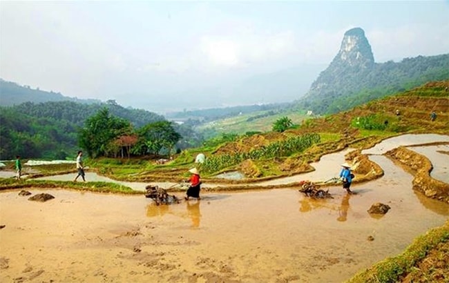 Người dân xã Quý Hòa lao động sản xuất trên những thửa ruộng bậc thang ở Ðồi Thung 