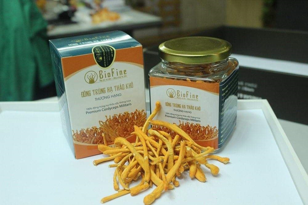 Sản phẩm Đông trùng hạ thảo khô của HTX nấm, đông trùn hạ thảo Biofine ở Thôn Năm trại, xã Sài Sơn, huyện Quốc Oai, T.P Hà Nội đạt chứng nhận sản phẩm OCOP 4 sao. Sản phẩm Đông trùng hạ thảo khô của HTX nấm, đông trùng hạ thảo Biofine ở Thôn Năm trại, xã Sài Sơn, huyện Quốc Oai, T.P Hà Nội đạt chứng nhận sản phẩm OCOP 4 sao.