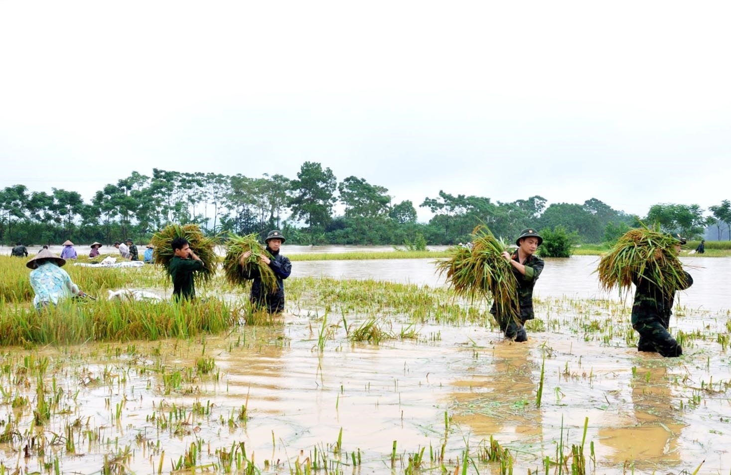 Thiên tai khiến tài nguyên sản xuất nông nghiệp bị thu hẹp. (Ảnh minh họa)