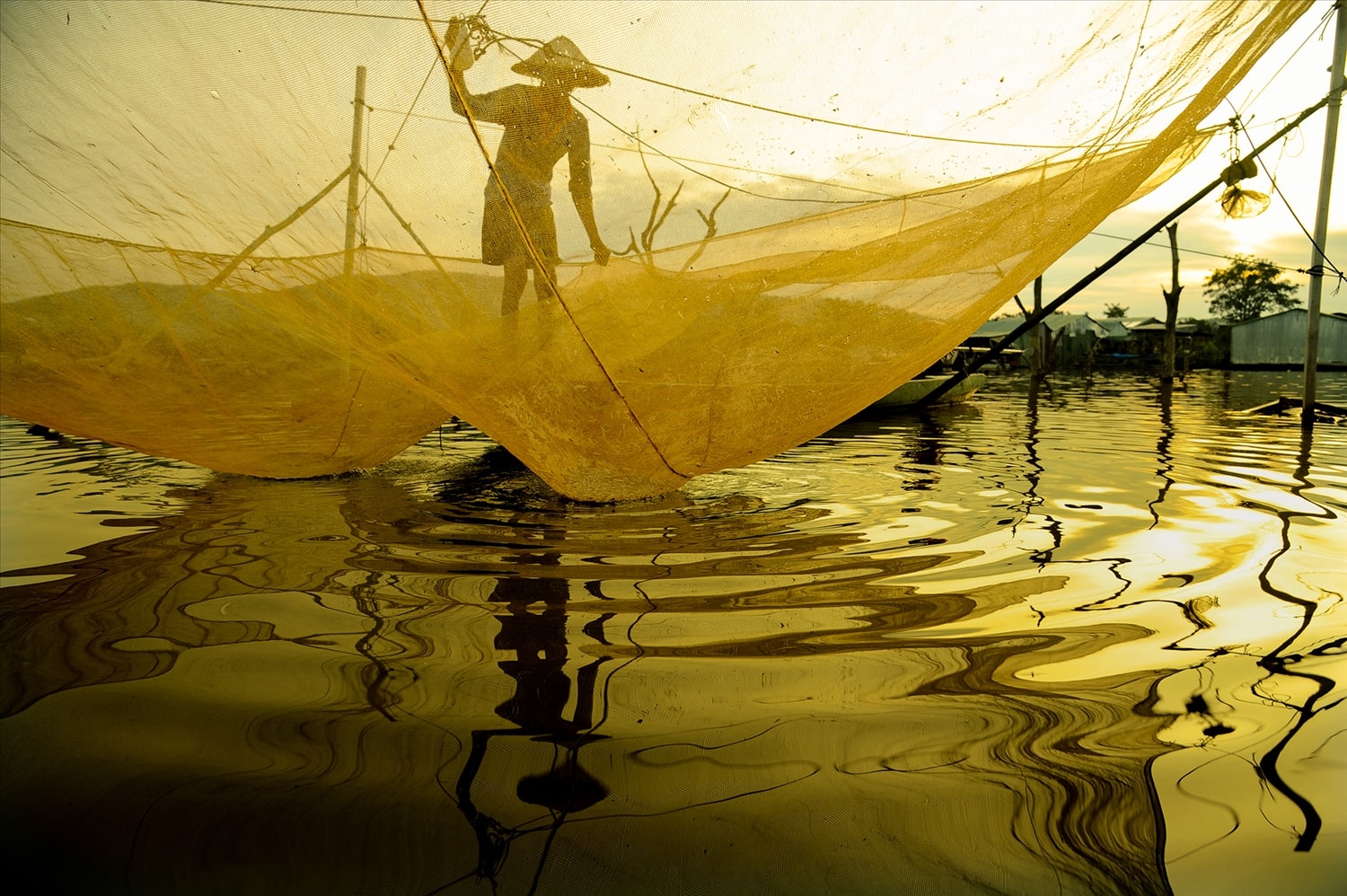 Thu rớ (vó bè) trong ánh bình minh