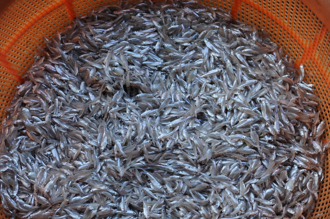 Trải nghiệm làng chài Sê San 3