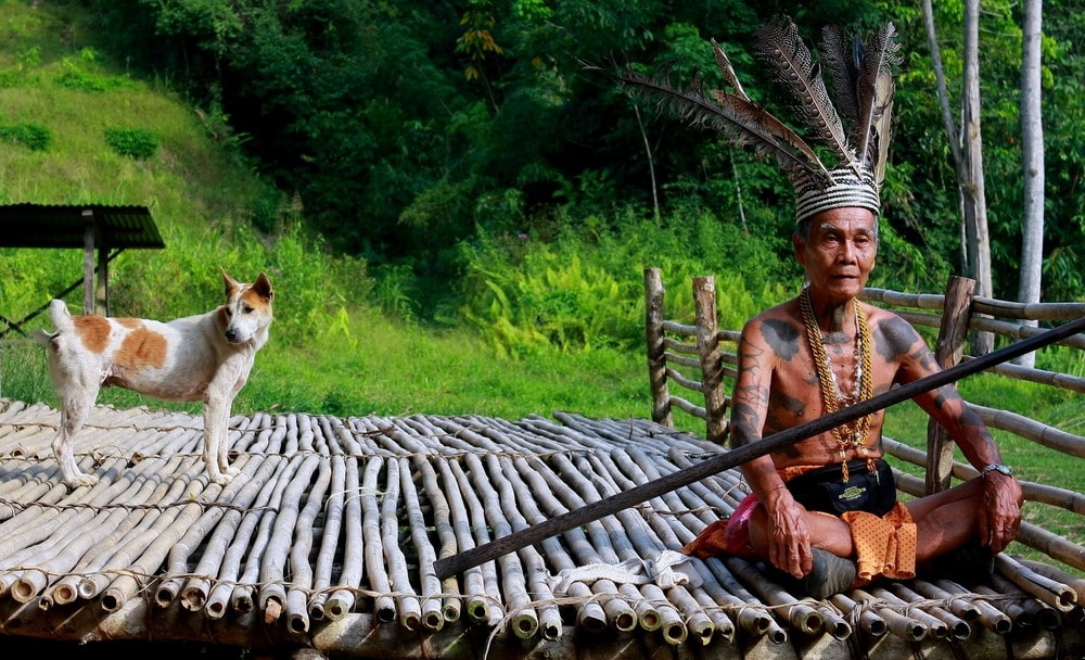 người Dayak sống bằng nghề làm ruộng lúa nước ven sông, làm rẫy, trồng cọ trên những ngọn đồi thấp và thuần dưỡng các con vật nuôi...
