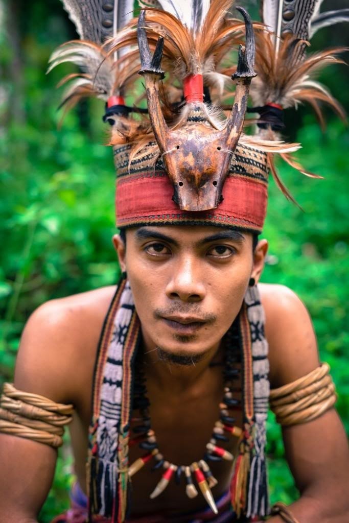 Người Dayak đội mũ lông chim và đeo rất nhiều đồ trang sức