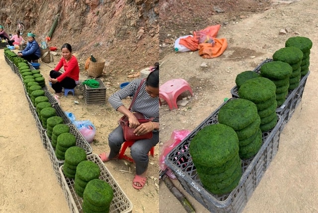 Những tảng rêu tròn trịa, chắc nịch với màu xanh bắt mắt được bà con bày bán tại các khu chợ cóc ven đường thu hút sự chú ý của du khách. Ảnh: Phạm Huyền