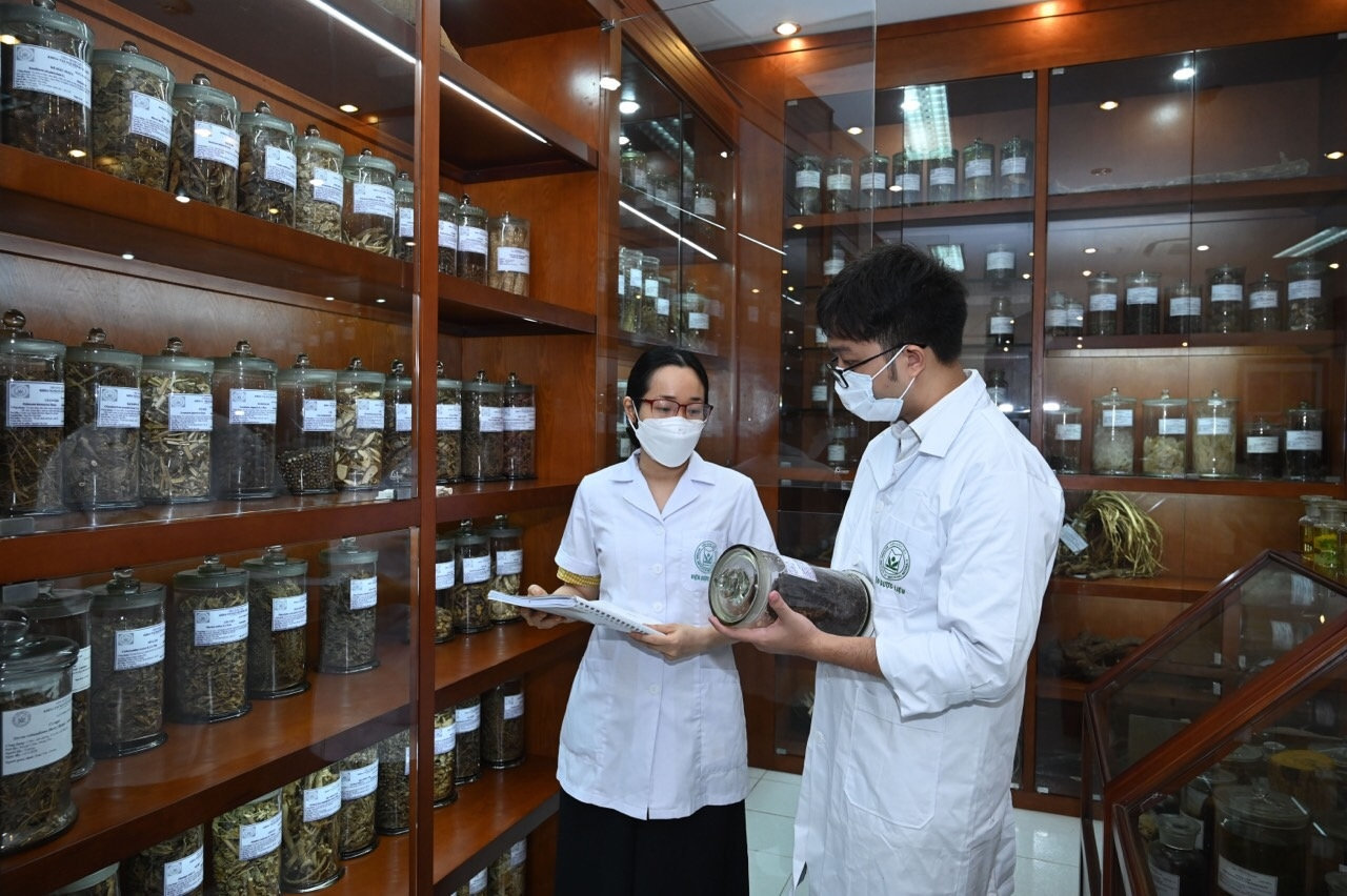 Viện Dược liệu triển khai nghiên cứu theo hướng tìm các hoạt chất phòng, chống virus SARS-CoV-2 và tăng cường miễn dịch. Ảnh: DUY LINH 