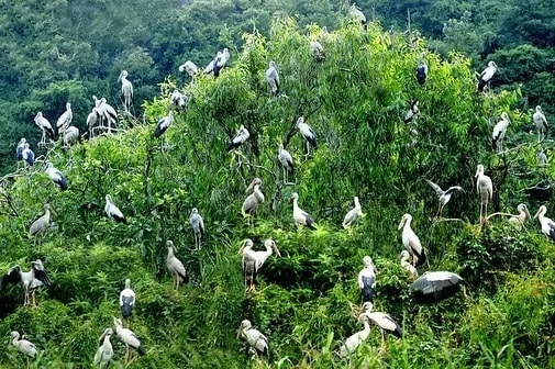 Thung Nham còn được gọi là thung chim Thung Nham còn được gọi là thung chim