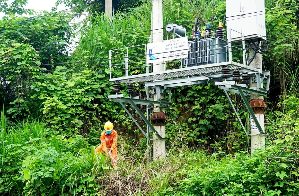 Phát quang hành lang lưới điện, khu vực trạm biến áp bảo đảm an toàn truyền tải điện Phát quang hành lang lưới điện, khu vực trạm biến áp bảo đảm an toàn truyền tải điện
