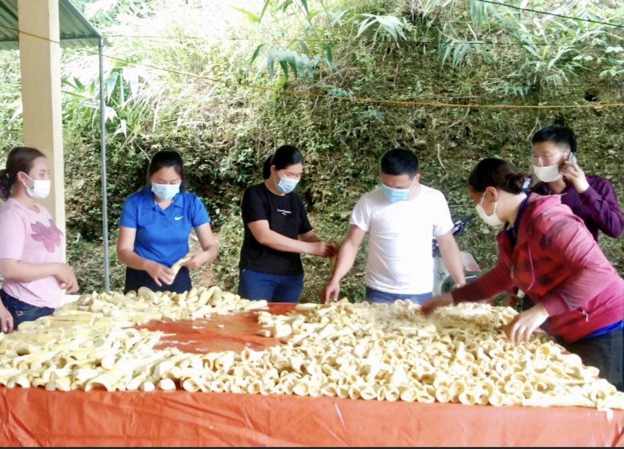 Sau một ngày phát động, xã Tam Hợp đã tiếp nhận được trên 3 tạ măng