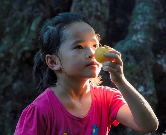 Hít hà hương thơm nồng nàn của quả thị chín