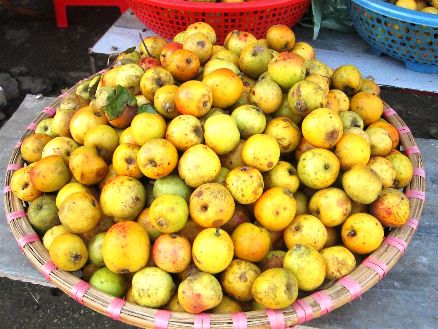 Đặc sản quả sơn tra (táo mèo) Mù Cang Chải.