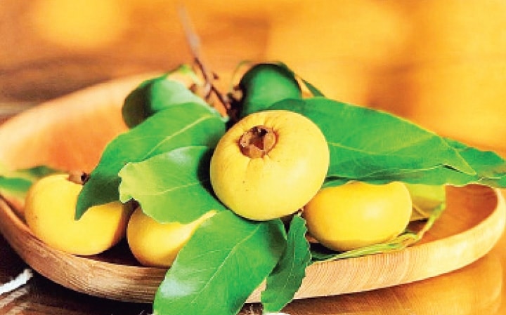 Nhớ những mùa thị chín 3