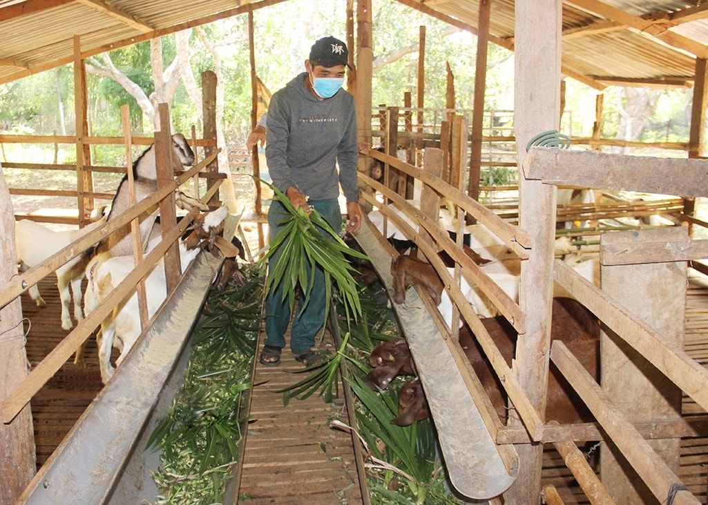 Trình độ chỉ lớp 5 nhưng toàn bộ các khâu sản xuất anh Điểu Vức ở ấp 8B, xã Lộc Hòa đều thực hiện cơ giới hóa