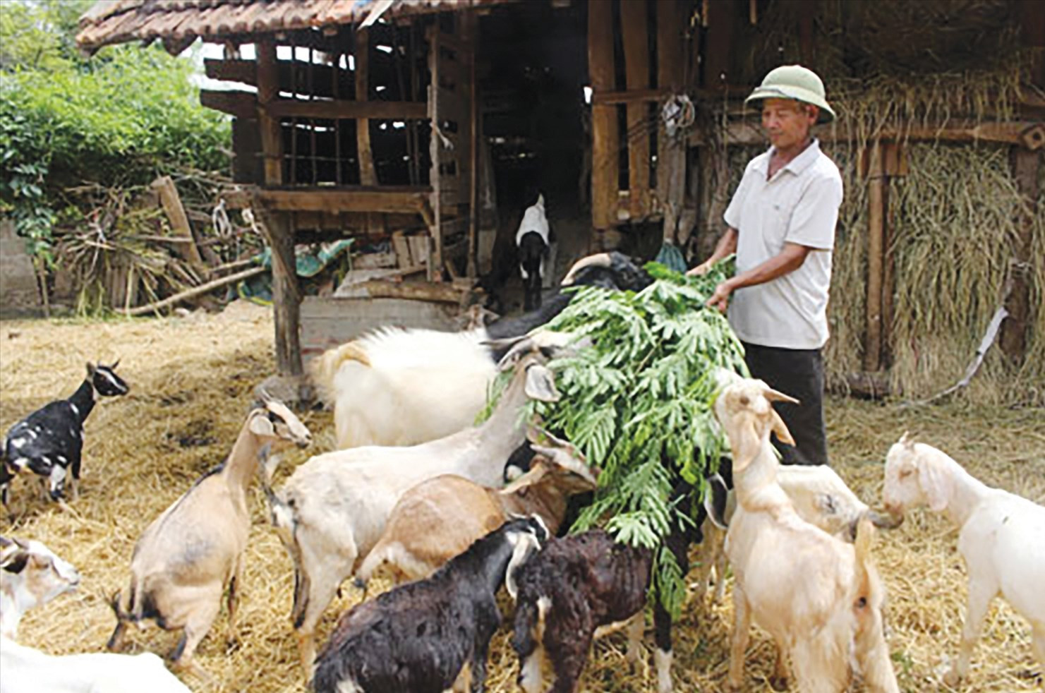 Khởi sắc ở vùng đồng bào Pa Cô