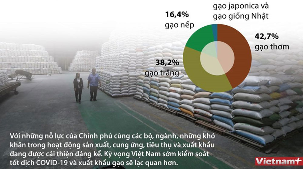 Triển vọng cho xuất khẩu gạo hậu đại dịch COVID-19 1