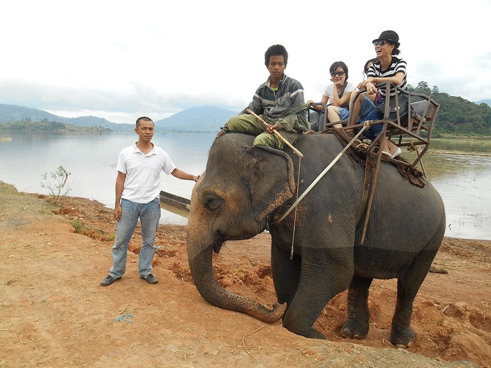 Voi đưa du khách tham quan bên dòng sông Sê-rê-pốk