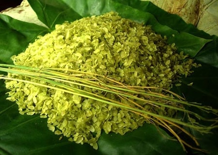 Hương cốm mùa thu