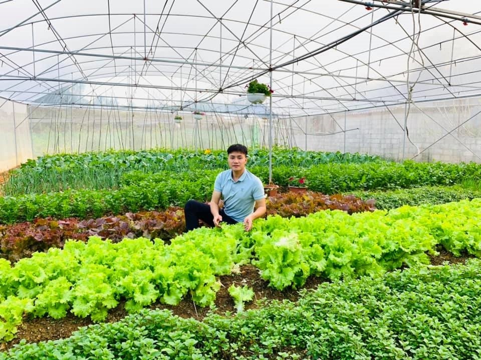 Xu thế trong nền nông nghiệp hiện đại là những nông dân trí thức trẻ khởi nghiệp. Xu thế trong nền nông nghiệp hiện đại là những nông dân trí thức trẻ khởi nghiệp.