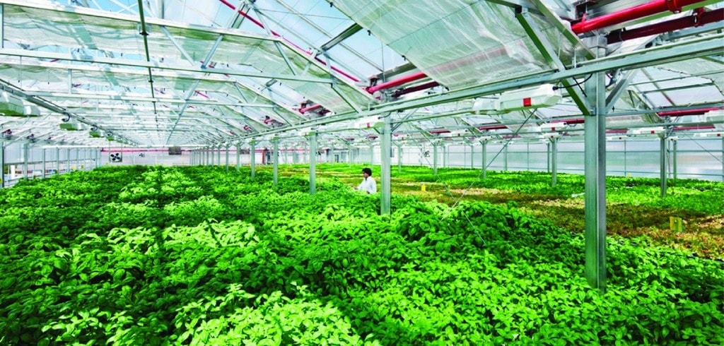 Nông nghiệp thông minh- ứng dụng công nghệ cao Nông nghiệp thông minh- ứng dụng công nghệ cao