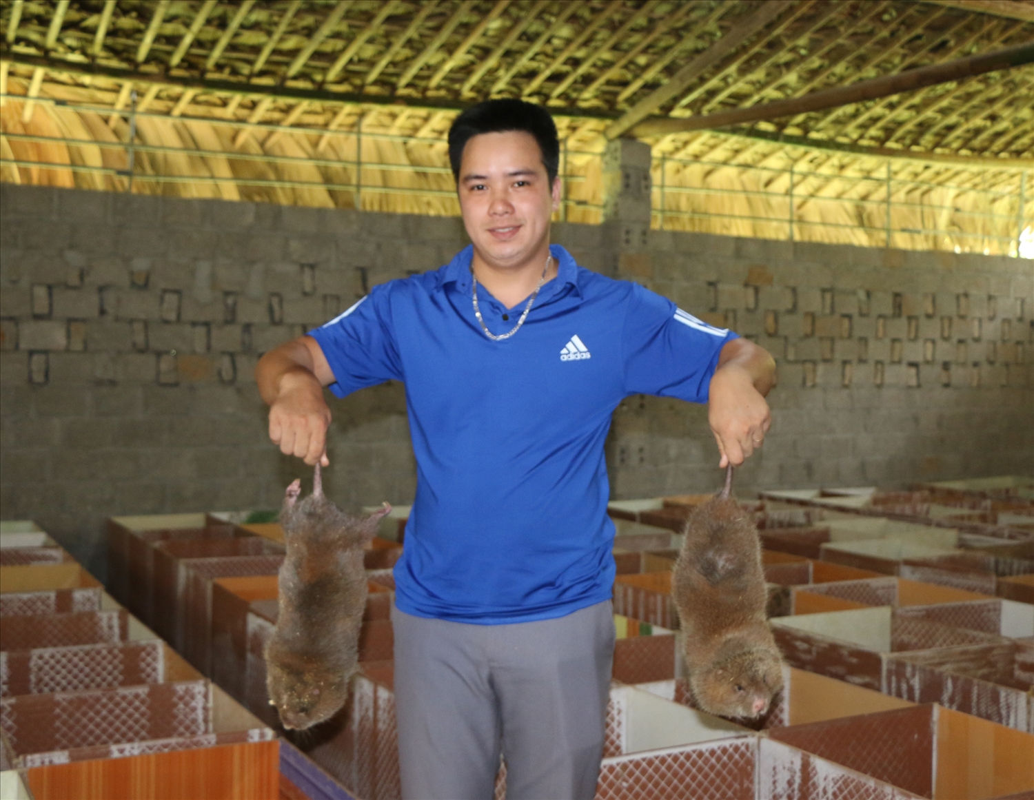 Với việc chăn nuôi dúi thịt và bán dúi giống, mỗi tháng gia đình anh Khanh có thu nhập từ 15-20 triệu đồng