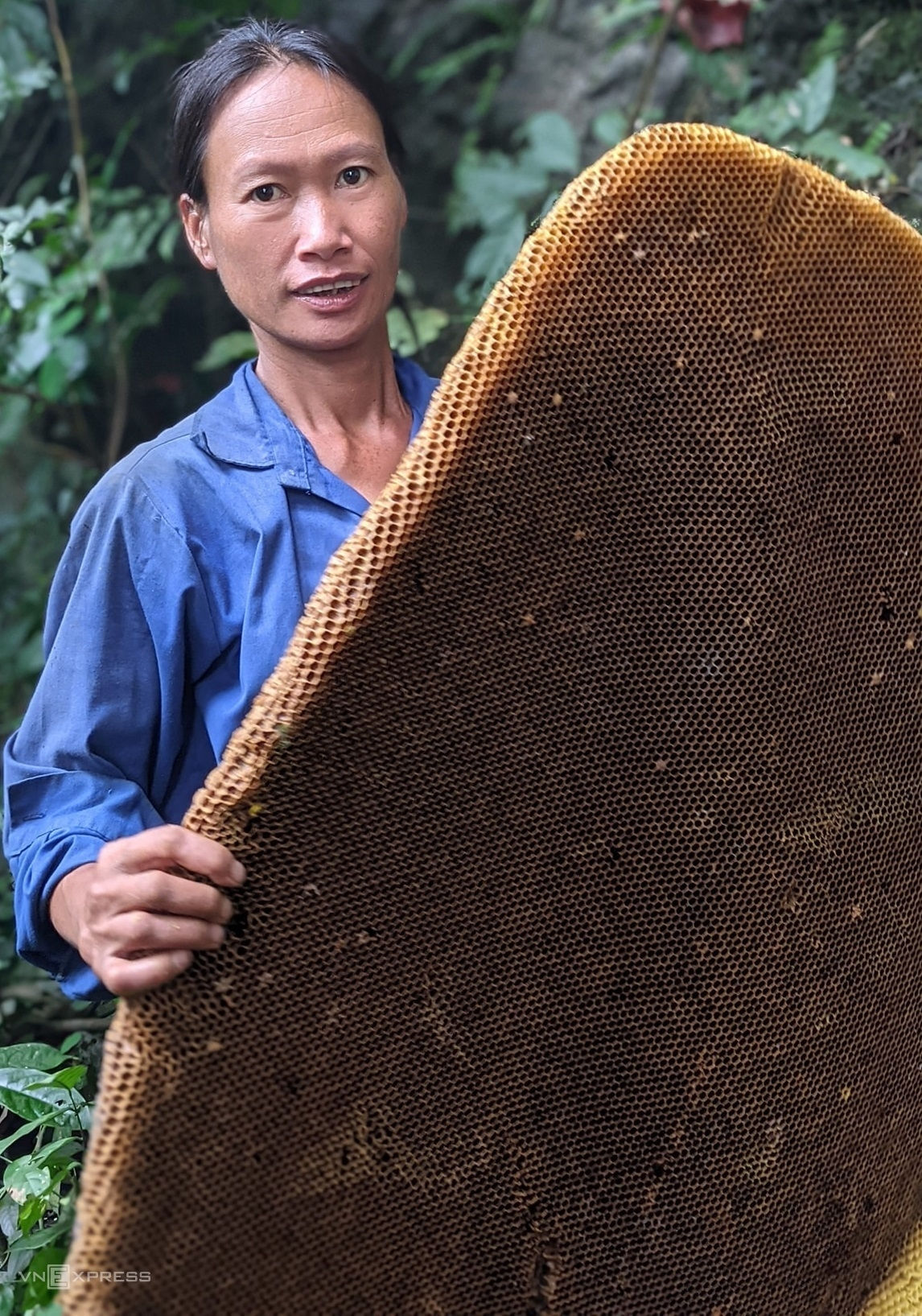 Mùa thu hoạch sáp ong của người Dao Tiền 3