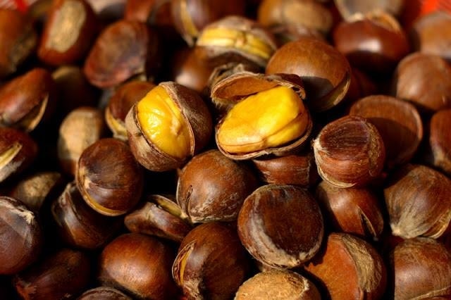 Hạt dẻ Trùng Khánh 
