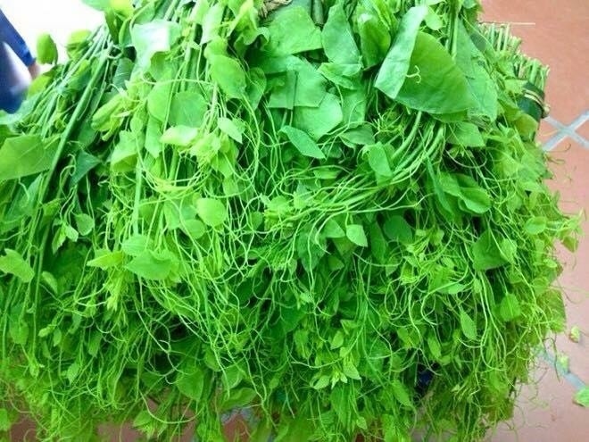 Đặc sản rau bò khai Cao Bằng